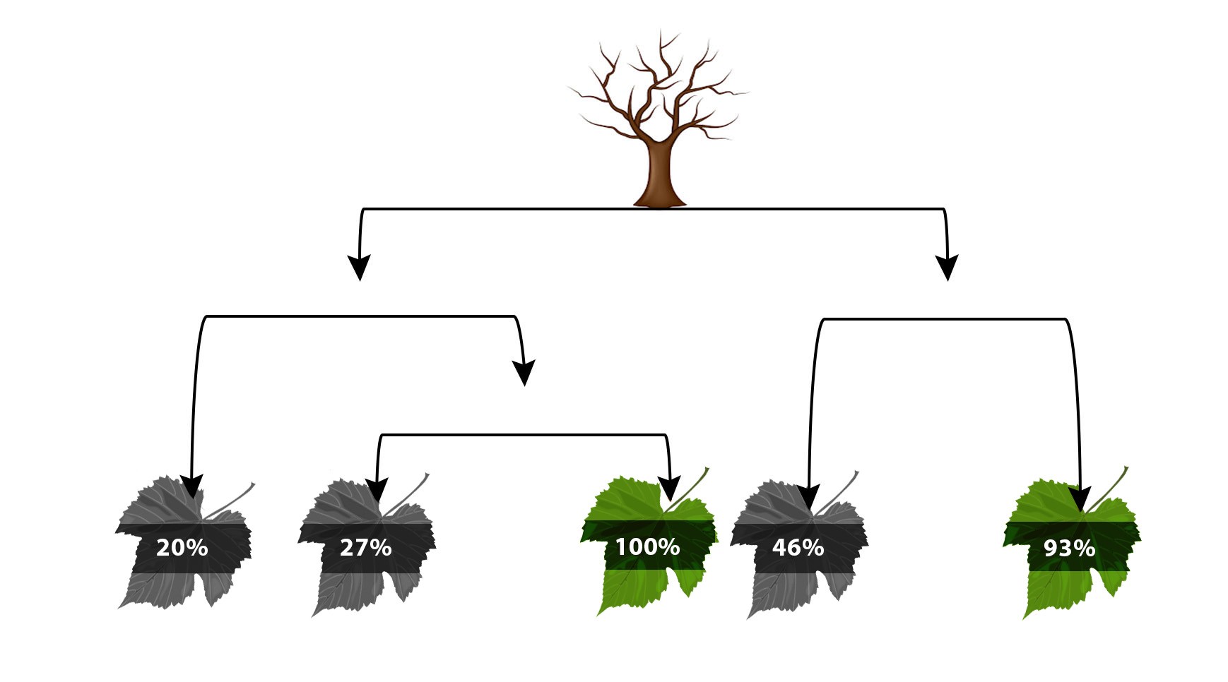 Decision tree splitting data into branches