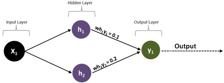Network diagram with one input X1, two hidden neurons h1 and h2, and one output y1, connected by weights wh1y1 equal to 0.1 and wh2y1 equal to 0.2