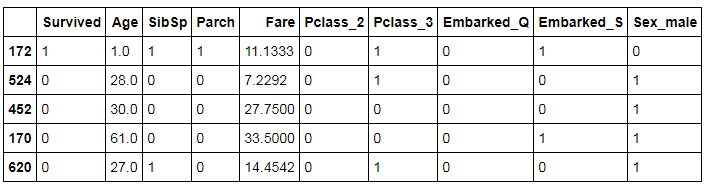 Test set showing first 5 rows of the test data