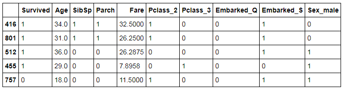 Train set showing first 5 rows of the training data