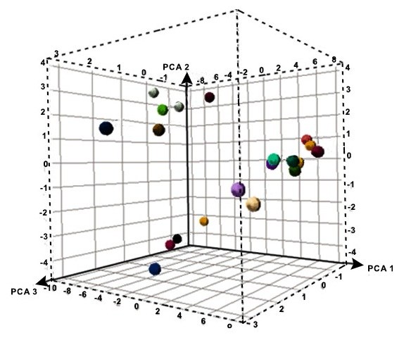 Feature engineering: a three-dimensional principal component projection reducing features to fewer dimensions