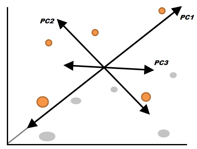 Principal components capturing the main directions of variance in data