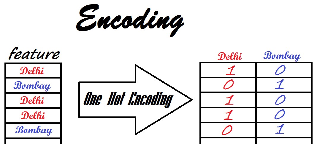 A one-hot encoding table converting categorical values into numerical columns
