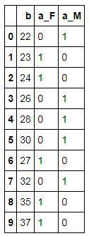 Encode1 after get_dummies, with separate a_F and a_M columns