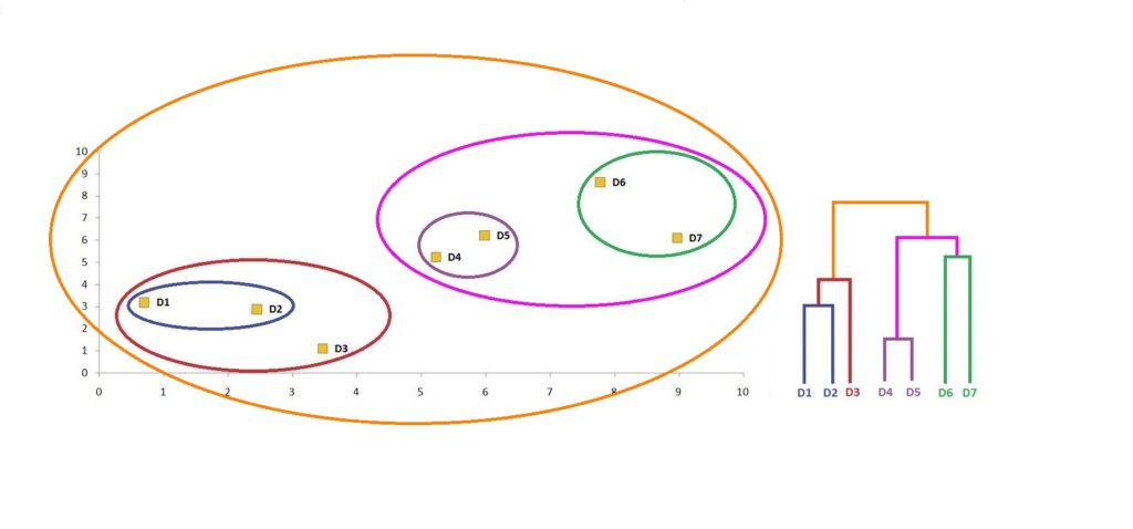 Scatter plot with all seven data points enclosed in one final oval and the complete dendrogram showing every observation joined into a single root