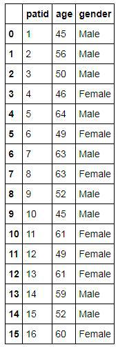 AgeData dataset with patid, age and gender columns